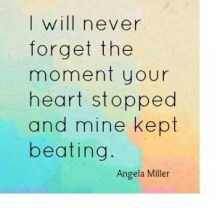 4c90667f521b41770e2be612c72a8ad31