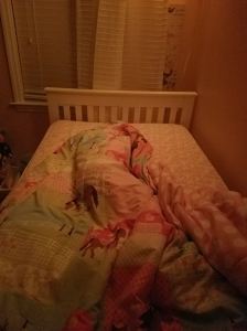 18235946_10213110836229981_286268389_o