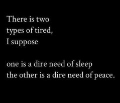 6d155c8af9f8fde81494cc8c8651564e