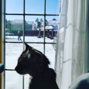 26166995_2272915936056543_6889227865289209665_n